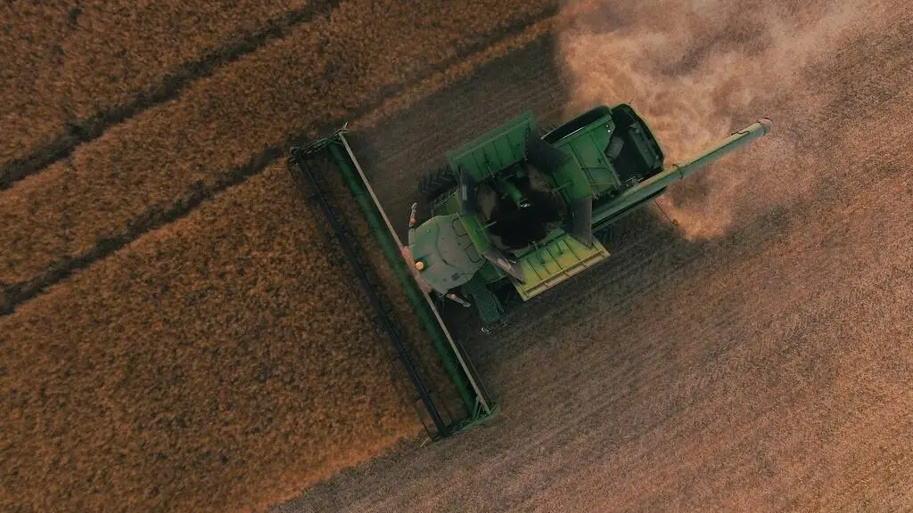 Evite que seu pedido seja indeferido sabendo quais os documentos necessários para realizar a autodeclaração rural